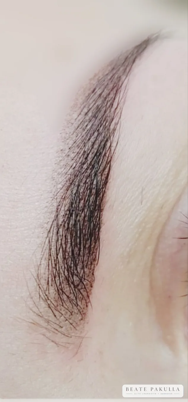 Augenbrauen oder Lidstrich Permanent Make-up bei LTL Elite in Hannover – Beispiel 7