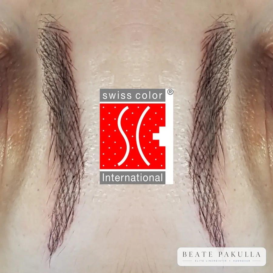 Augenbrauen oder Lidstrich Permanent Make-up bei LTL Elite in Hannover – Beispiel 11