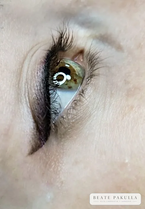 Augenbrauen oder Lidstrich Permanent Make-up bei LTL Elite in Hannover – Beispiel 14