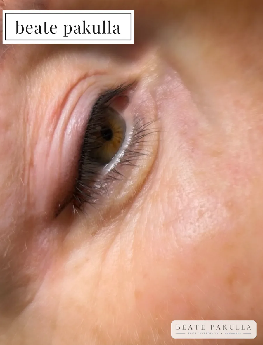 Augenbrauen oder Lidstrich Permanent Make-up bei LTL Elite in Hannover – Beispiel 19
