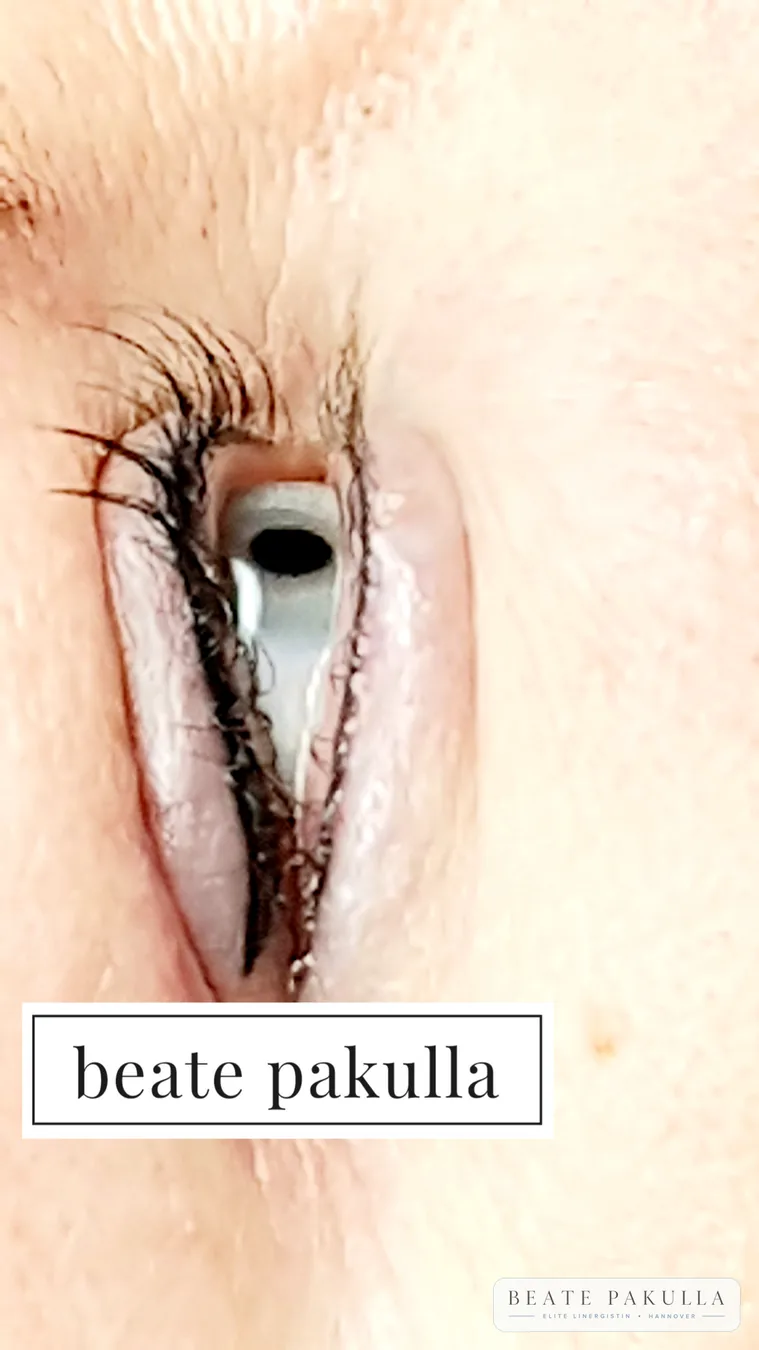 Augenbrauen oder Lidstrich Permanent Make-up bei LTL Elite in Hannover – Beispiel 21